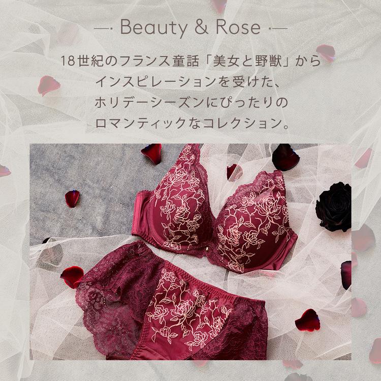 AMOSTYLE（アモスタイル） セール 夢みるブラ DeepV ブラジャー