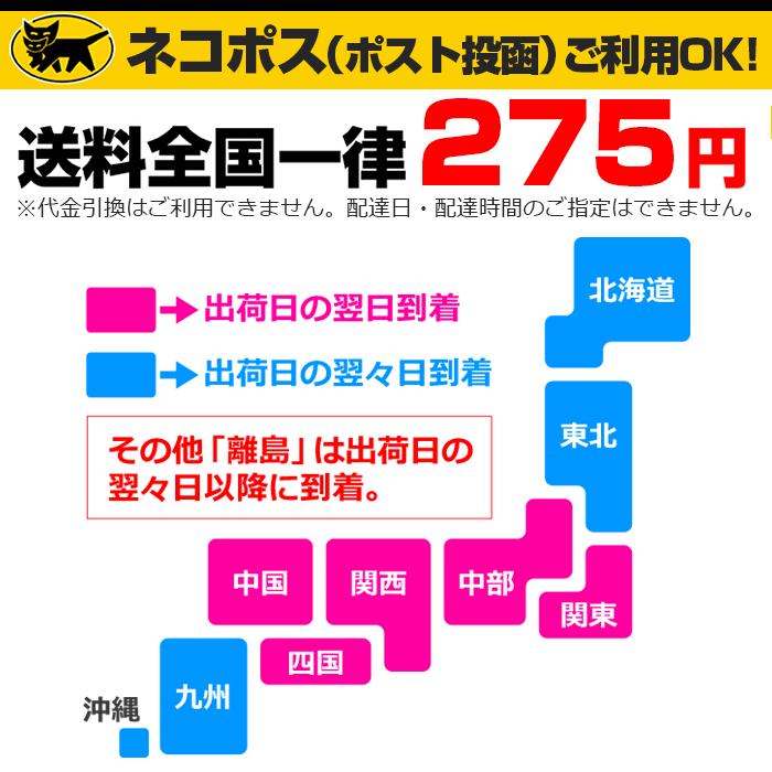 カラフル リストバンド 2個組 11カラー キッズ リストバンド カラー カラフル 子ども 子供 手首 ブレスレット　ポイント　ダンス 衣装子供 ジュニア 子供服｜trj-store｜13