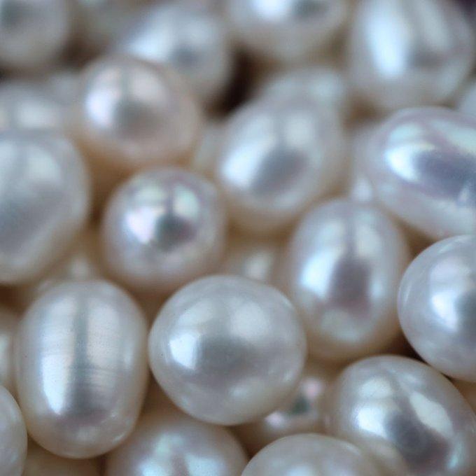 AAA 4〜5mm 本真珠 淡水パール ライス 穴無し ホワイト系 15個 : Trois