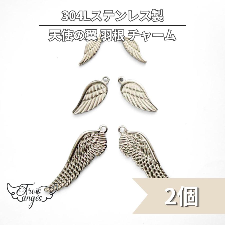 304L サージカルステンレス 男前 天使の翼 羽根 チャーム 2個 : Trois