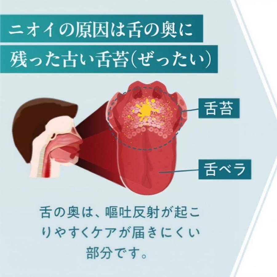 舌クリーナー 舌苔 除去 ステンレス ibancool ワイドタイプとベーシックタイプの2本セット | ブランド登録なし | 05