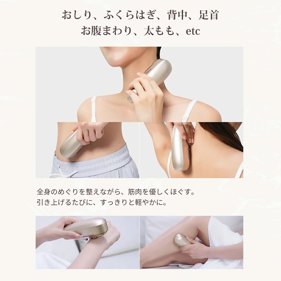 カッサ 多機能 4種類ヘッド スカルプブラシ 対応 充電式 anlan : 厳選