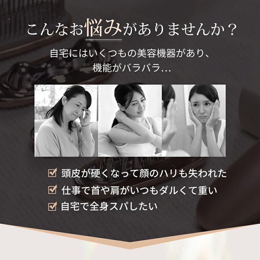 カッサ 多機能 4種類ヘッド スカルプブラシ 対応 充電式 anlan : 厳選