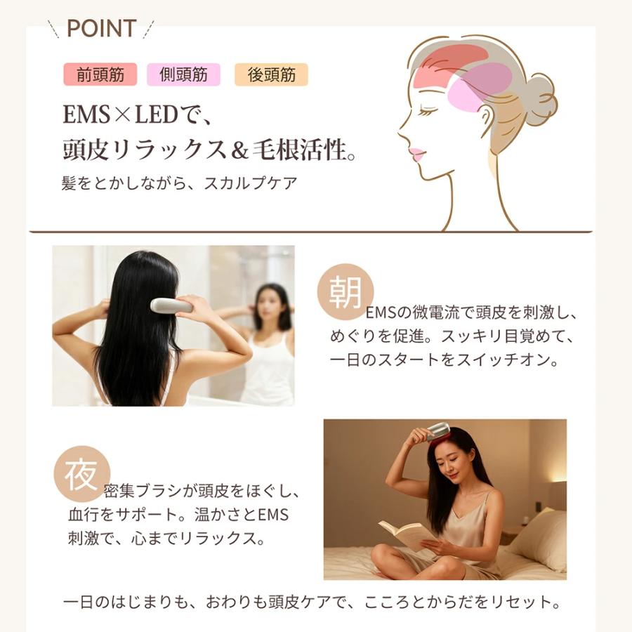 カッサ 多機能 4種類ヘッド スカルプブラシ 対応 充電式 anlan : 厳選