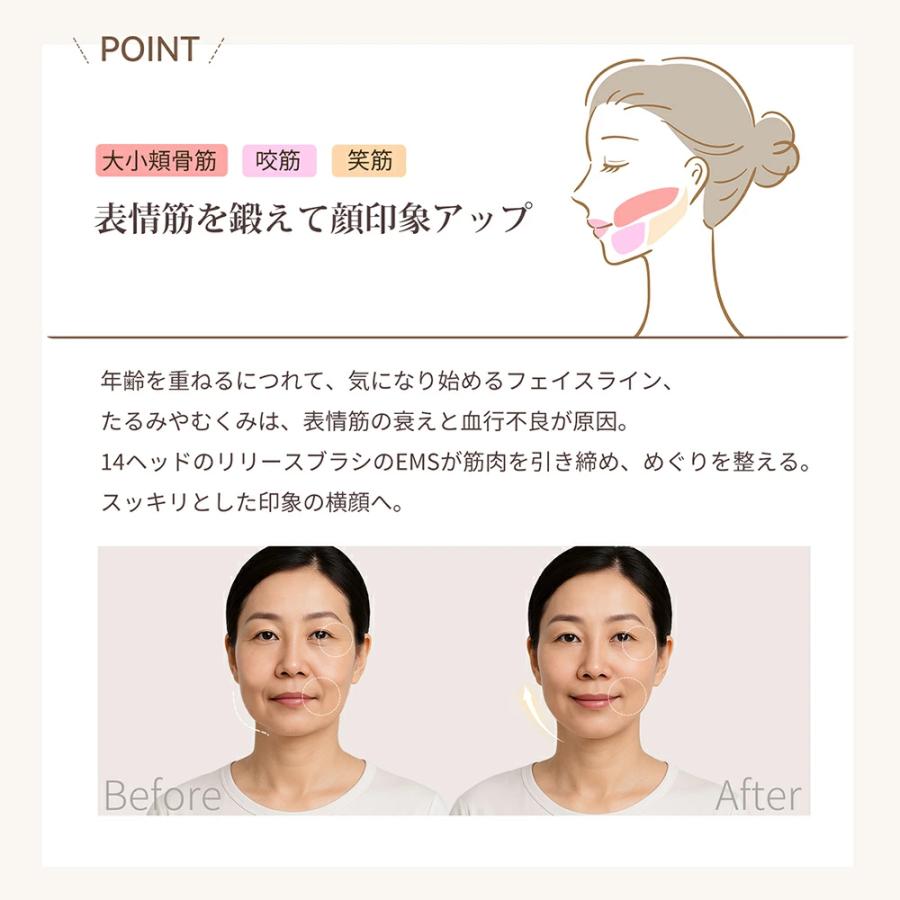 カッサ 多機能 4種類ヘッド スカルプブラシ 対応 充電式 anlan : 厳選