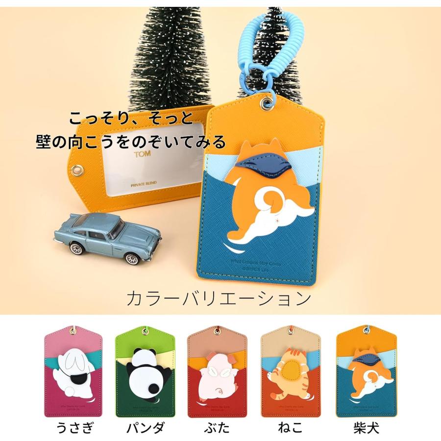 使用可能】ピカチュウ Suicaカード 台紙&パスケースセット パスケース