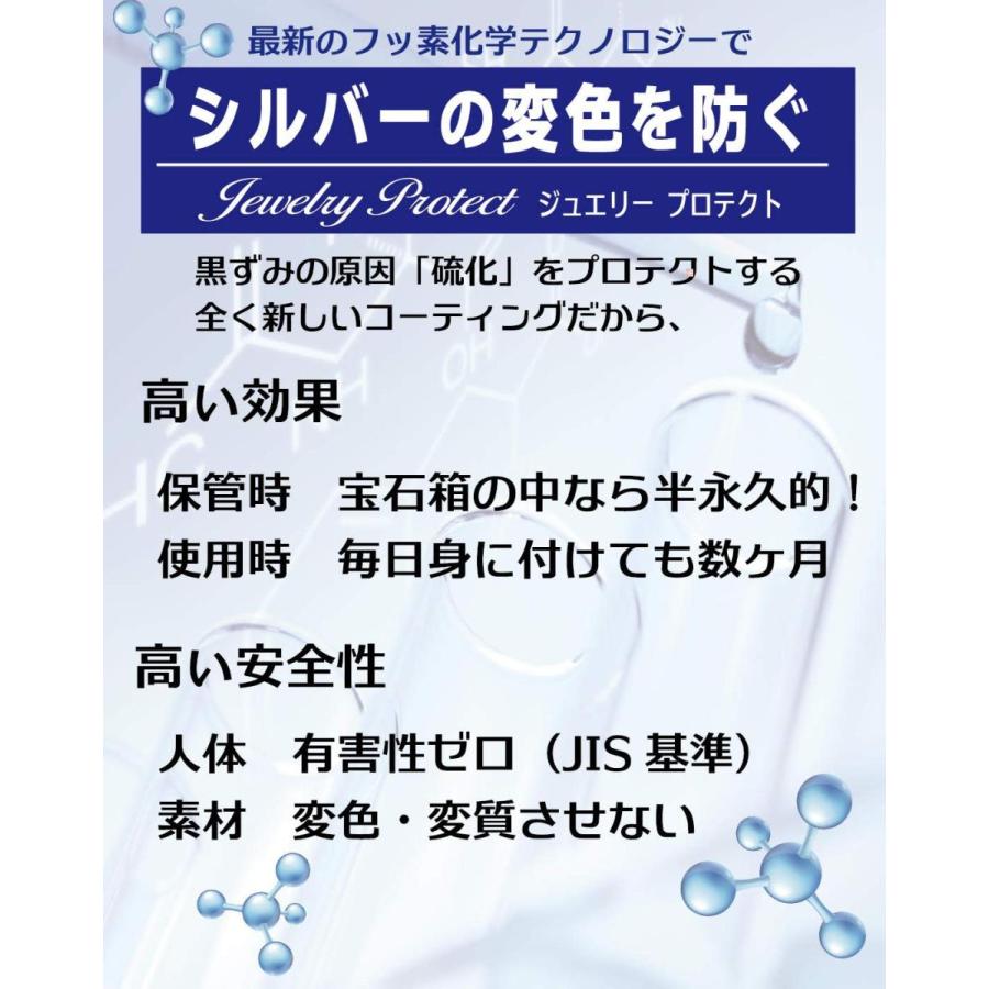 シルバー 変色防止 アクセサリー用コーティング剤 シルバー 磨き 液体 サフィックス ジュエリープロテクト 10g入｜tropical-store｜02