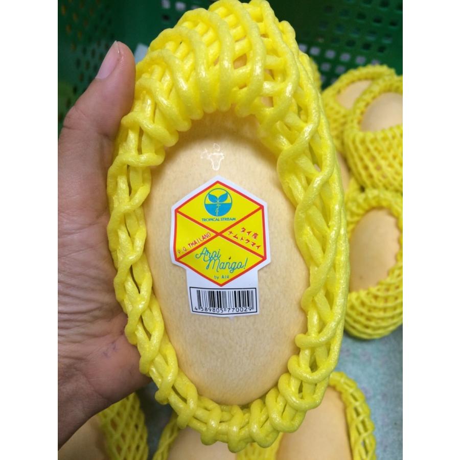 タイ産 ゴールデンマンゴー 約4.5kg 小玉15個入り（ナムドクマイ