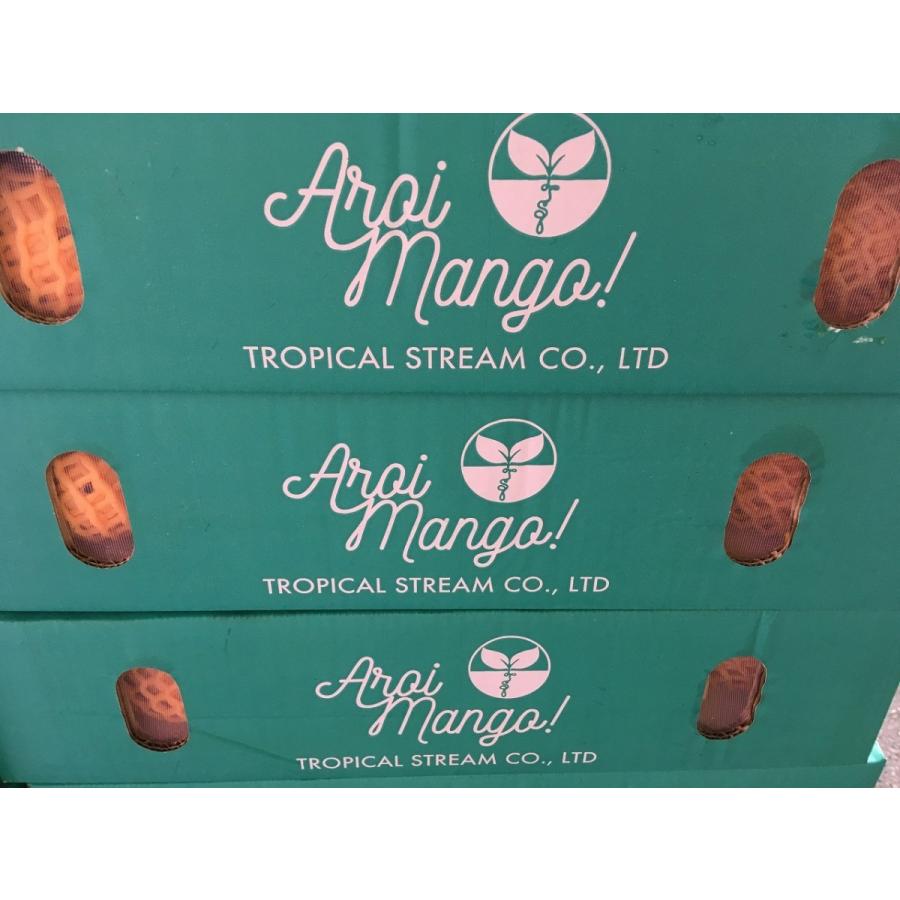 タイ産 ゴールデンマンゴー 約4.5kg 大玉10個/12個入り タイ産 ゴールデンマンゴー 約4.5kg 大玉10個/12個入り