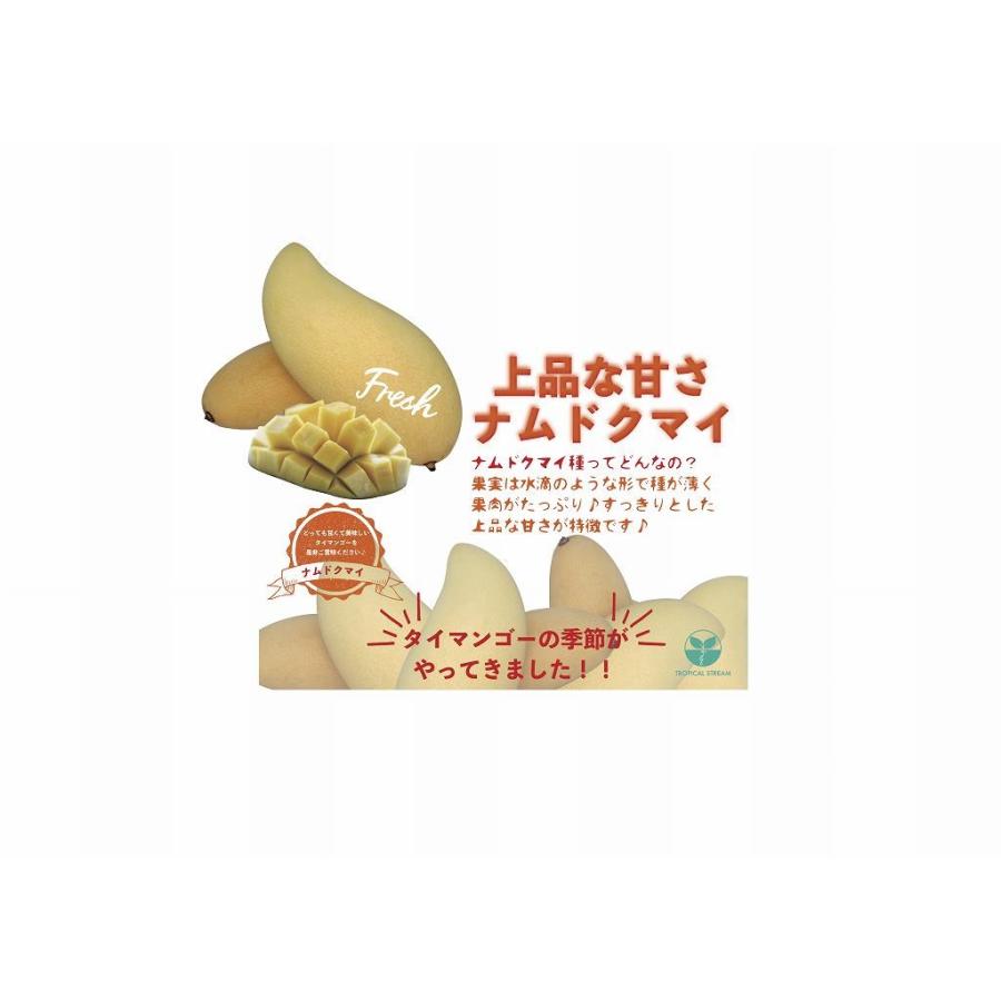 タイ産 ゴールデンマンゴー 約4.5kg 大玉10個/12個入り タイ産 ゴールデンマンゴー 約4.5kg 大玉10個/12個入り