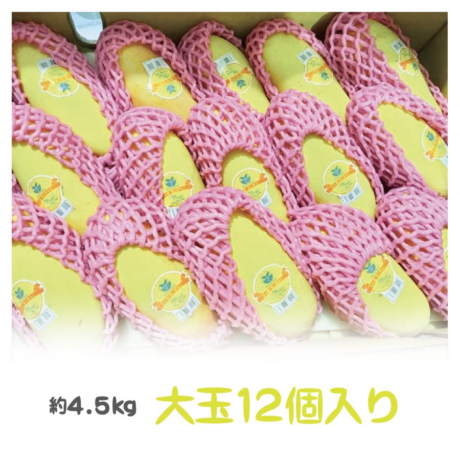 タイ産マンゴー 約4.5kg 大玉12個入り（マハチャノック種） :104:トロピカルストリーム - 通販 - Yahoo!ショッピング