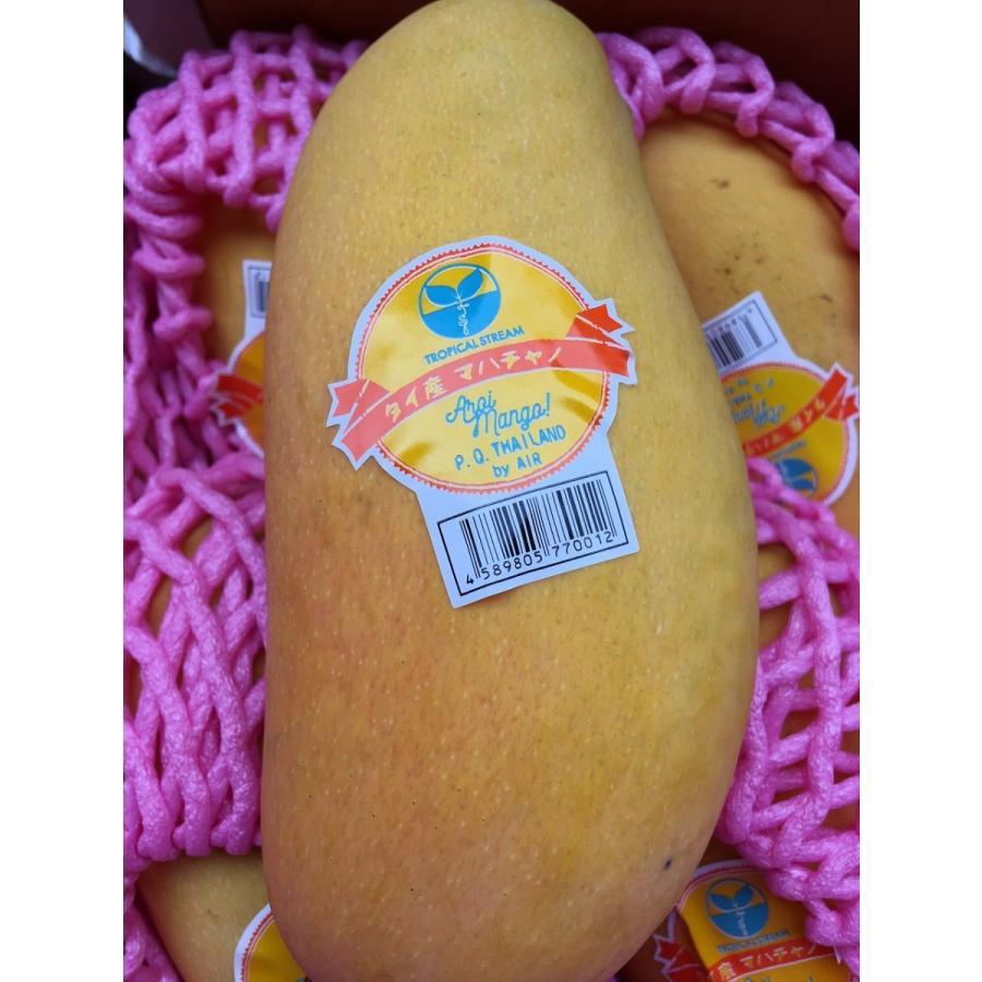 タイ産マンゴー(マハチャノック種)大玉12個入り 約4.5kg タイ産マンゴー(マハチャノック種)大玉12個入り 約4.5kg