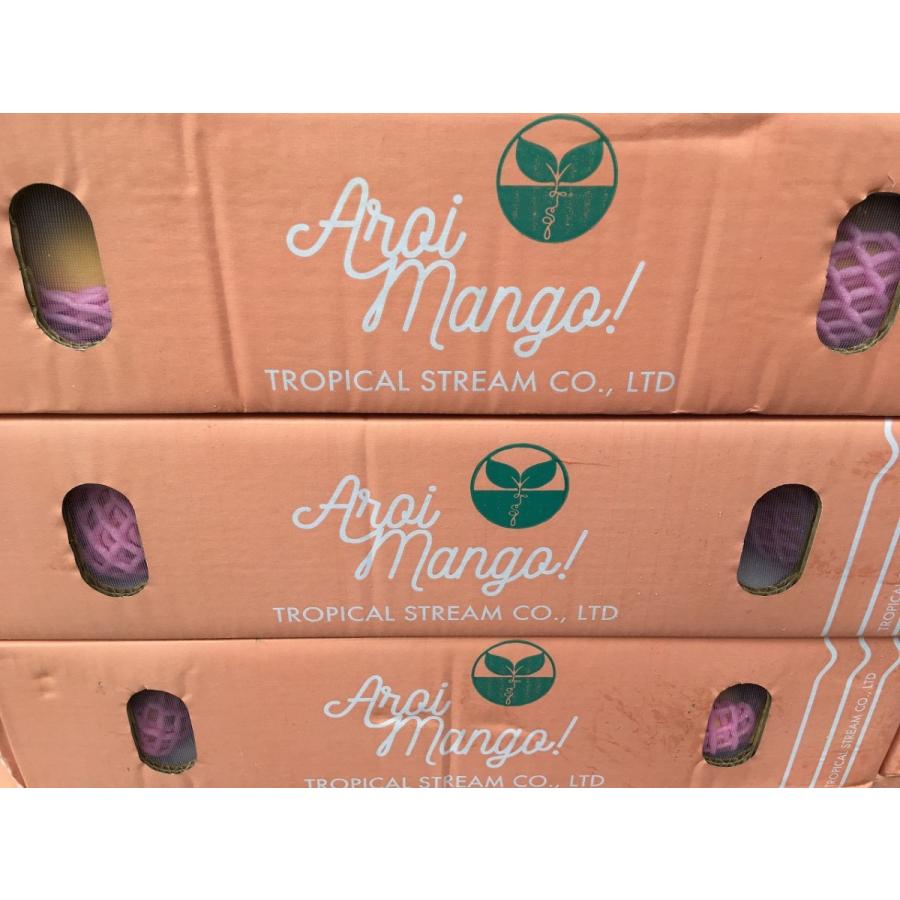 タイ産マンゴーマハチャノまん（希少品種 d_mango64_04.jpg