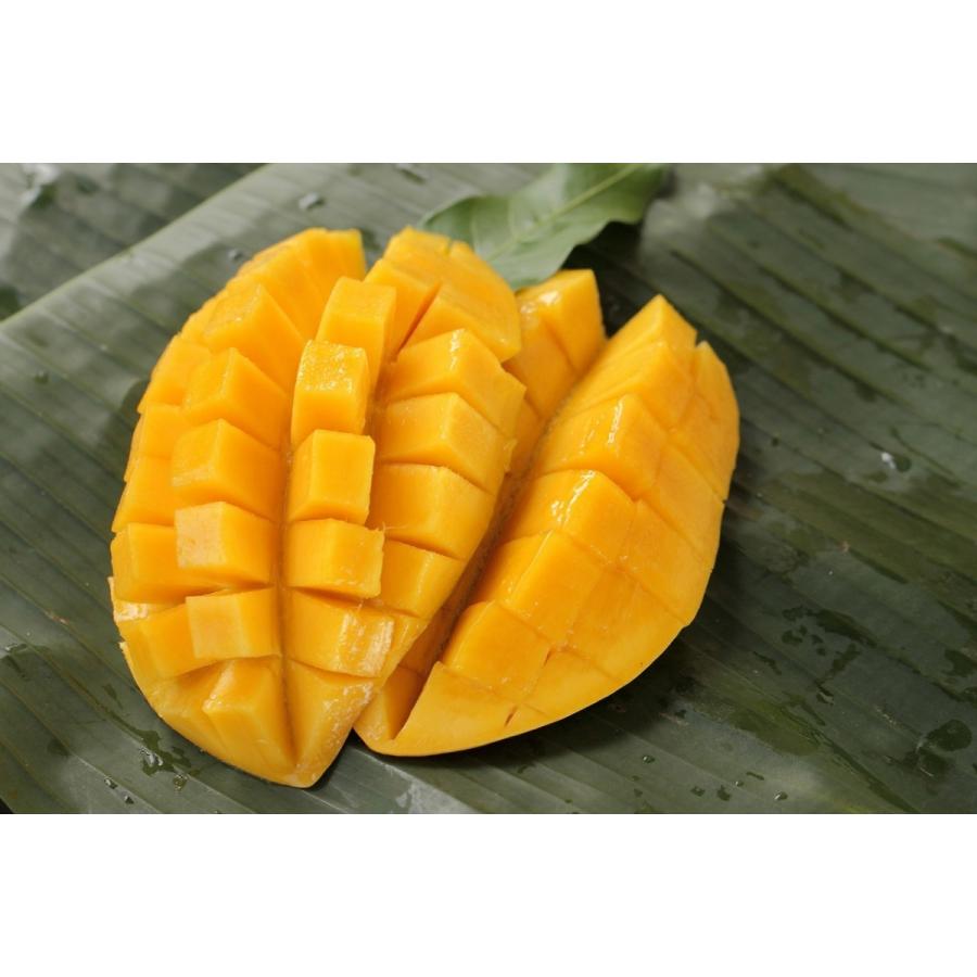 タイ産マンゴー(マハチャノック種)大玉12個入り 約4.5kg タイ産マンゴー(マハチャノック種)大玉12個入り 約4.5kg