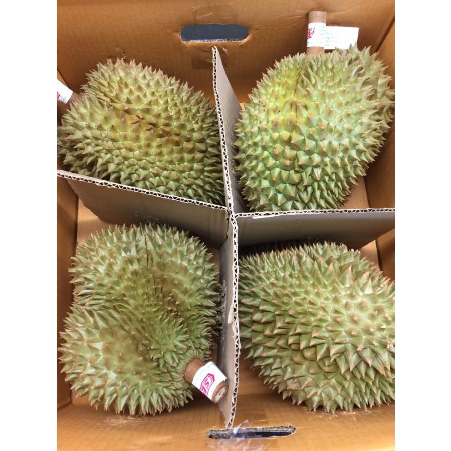 タイ産ドリアン Mサイズ 約2.0kg〜2.5kg 4玉入り(モントーン種 タイ産ドリアン Mサイズ 約2.0kg〜2.5kg 4玉入り(モントーン種