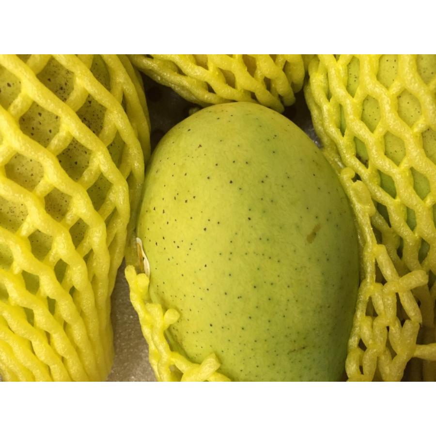 ベトナム産マンゴー 約4.0kg 11個/13個入り（カッチュ種