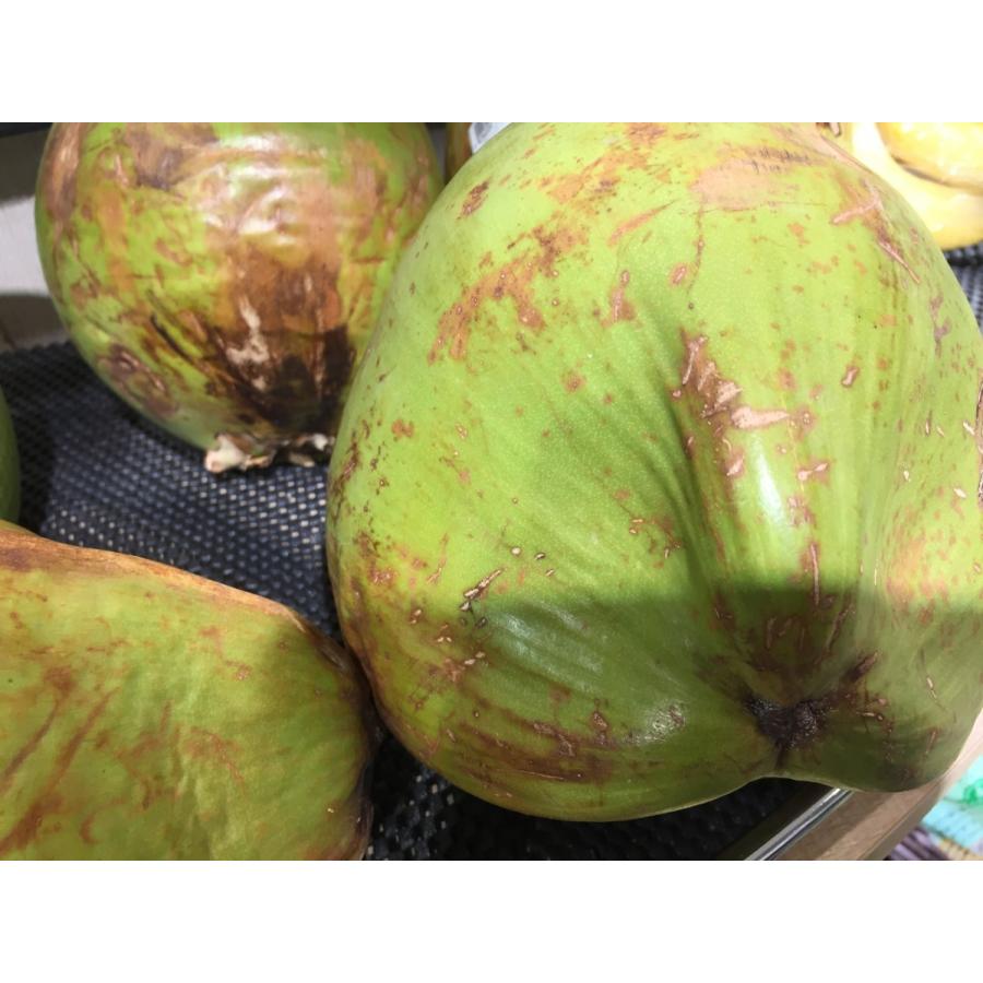 双子椰子の実 Amazon.co.jp: ヤシの実 やしの実 椰子の実 1玉 2.2kgUP : 食品・飲料