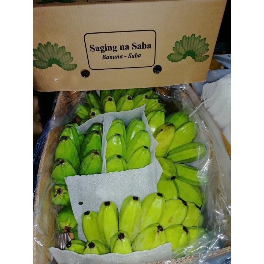 フィリピン産サバ バナナ 青バナナ 約10 0kg 4 5ハンド入り 114 トロピカルストリーム 通販 Yahoo ショッピング