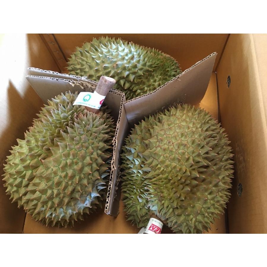 タイ産ドリアン Lサイズ 約2.5kg〜3.0kg 3玉入り（モントーン種