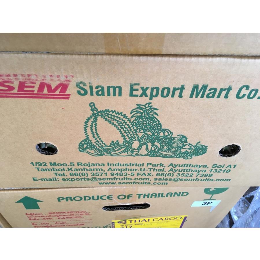 タイ産ドリアン Lサイズ 約2.5kg〜3.0kg 3玉入り（モントーン種