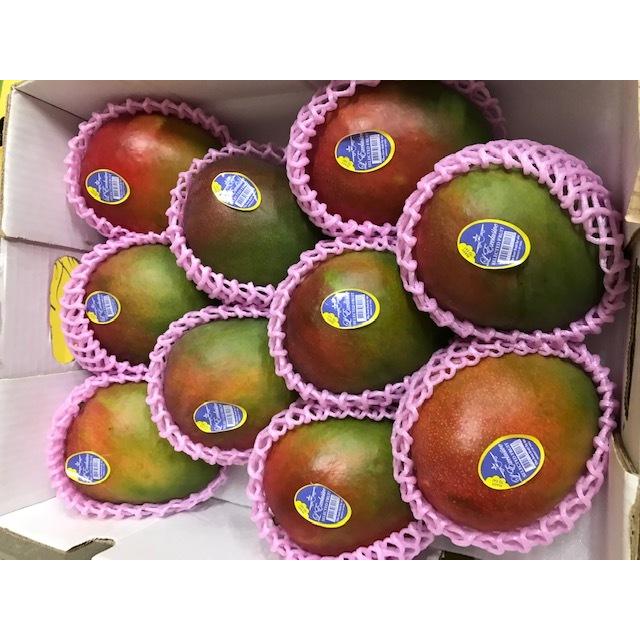 ペルー産アップルマンゴー 約4.0kg 8個/9個/10個入り(ケント ペルー産アップルマンゴー 約4.0kg 8個/9個/10個入り(ケント