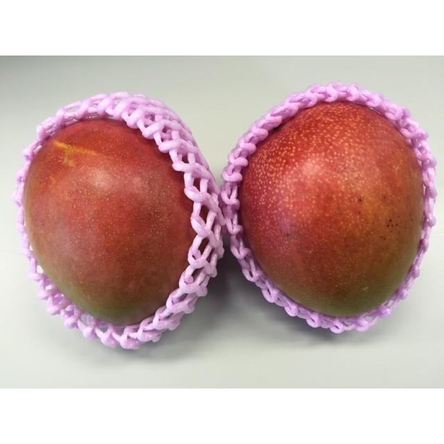 ブラジル産アップルマンゴー 約4.0kg 7/10個入り(ケント種 ブラジル産アップルマンゴー 約4.0kg 7/10個入り(ケント種