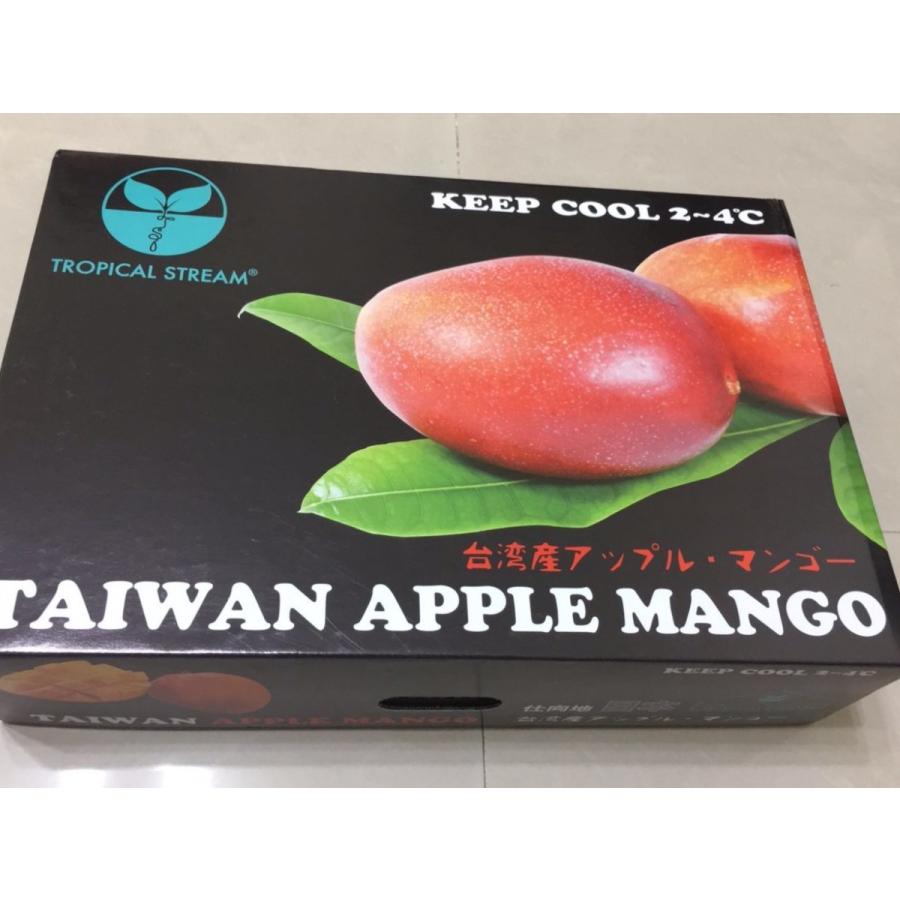台湾産 アップルマンゴー 約5.0kg 小玉14個/16個入り（アーウィン