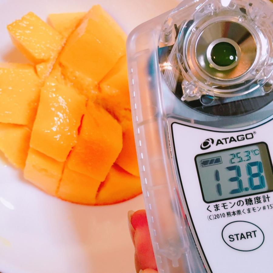 台湾産 アップルマンゴー 約5.0kg 小玉14個/16個入り（アーウィン