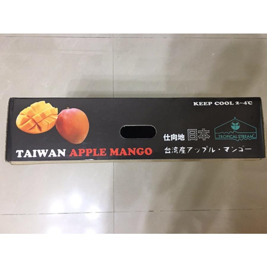 台湾産 アップルマンゴー 約5.0kg 小玉14個/16個入り（アーウィン