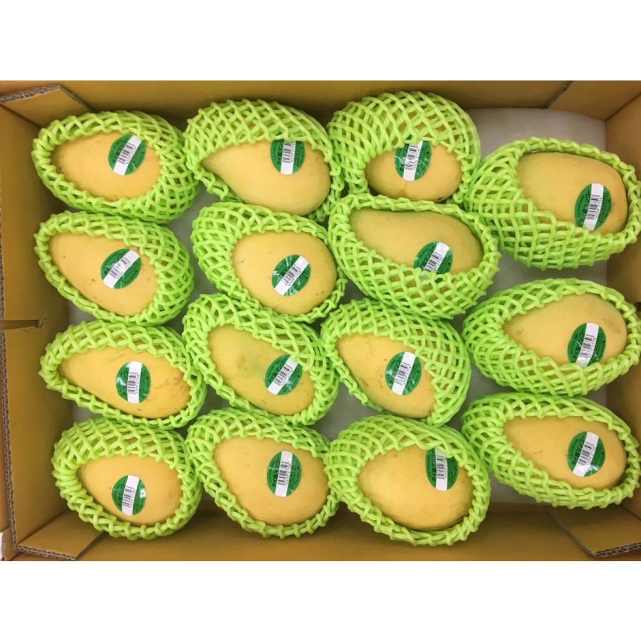 タイ産マンゴー 約4.5kg 12個/15個/18個入り（チョークアナン種