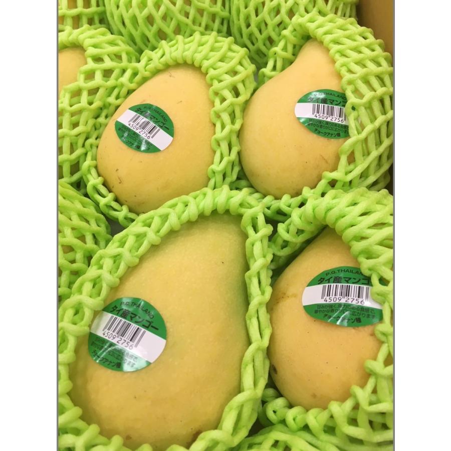 タイ産マンゴー 約4.5kg 12個/15個/18個入り（チョークアナン種