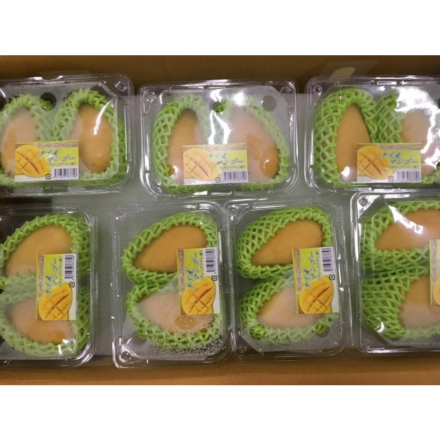 タイ産マンゴー 約4.5kg 12個/15個/18個入り（チョークアナン種