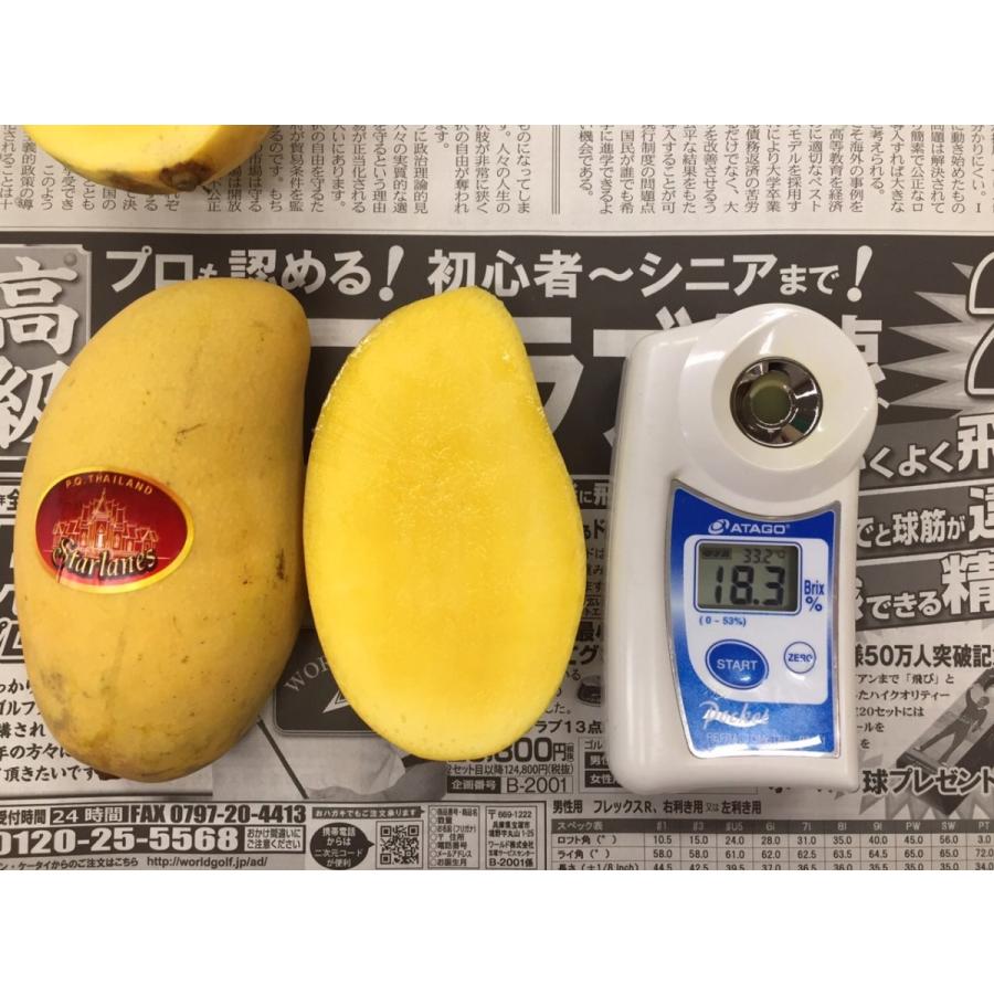 タイ産マンゴー 約4.5kg 12個/15個/18個入り（チョークアナン種