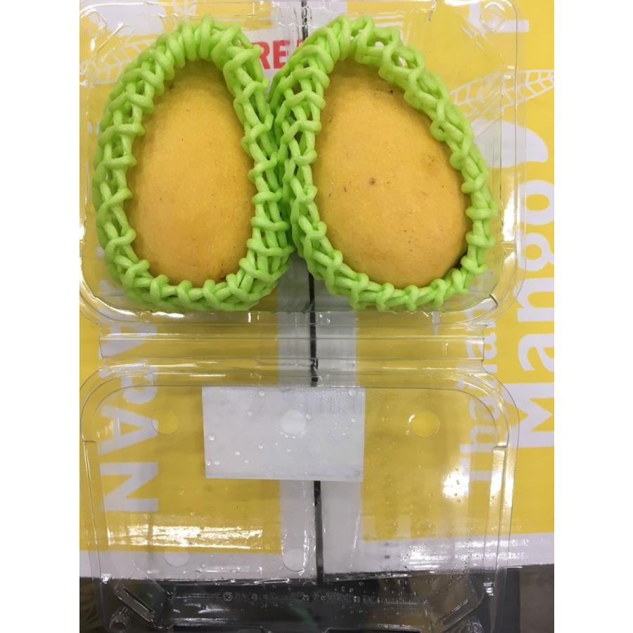 チョークアナン　マンゴー苗 チョークアナン マンゴー苗 【公式通販】