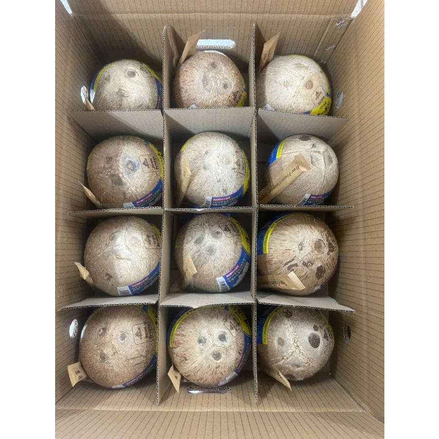 ベトナム産オールドココナッツ 約10.0kg 12個入り : トロピカル
