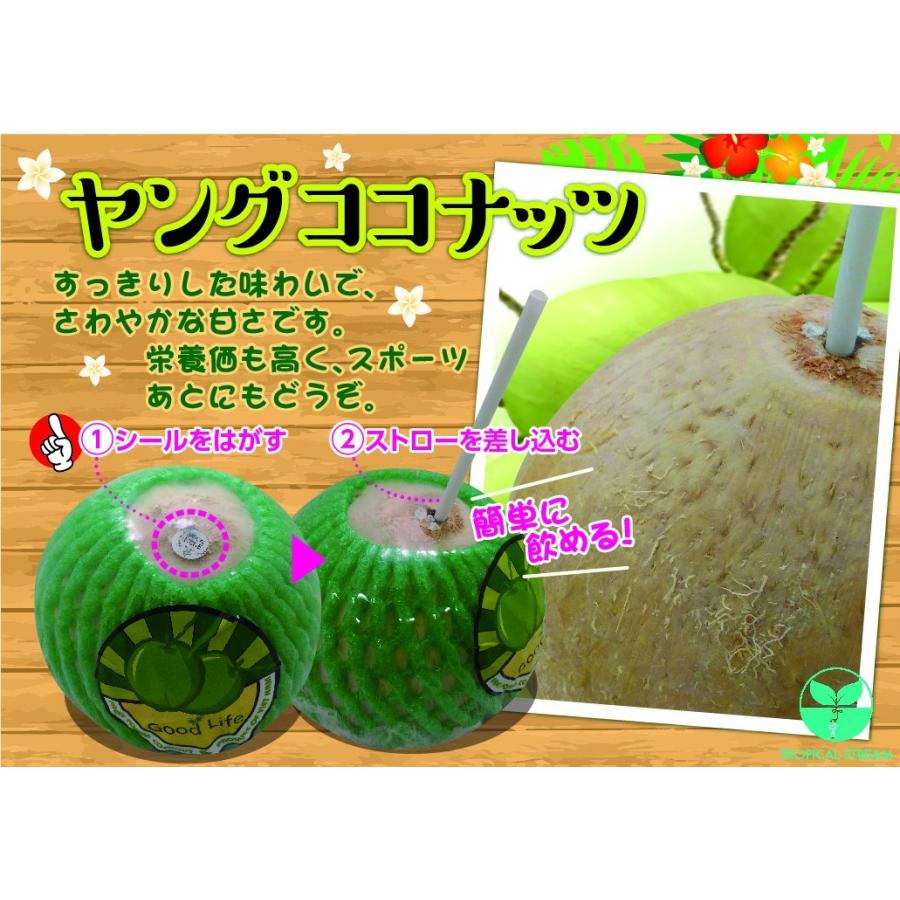 簡単に飲めるヤングココナッツ 約9.0kg 16個入り ストロー付きボール