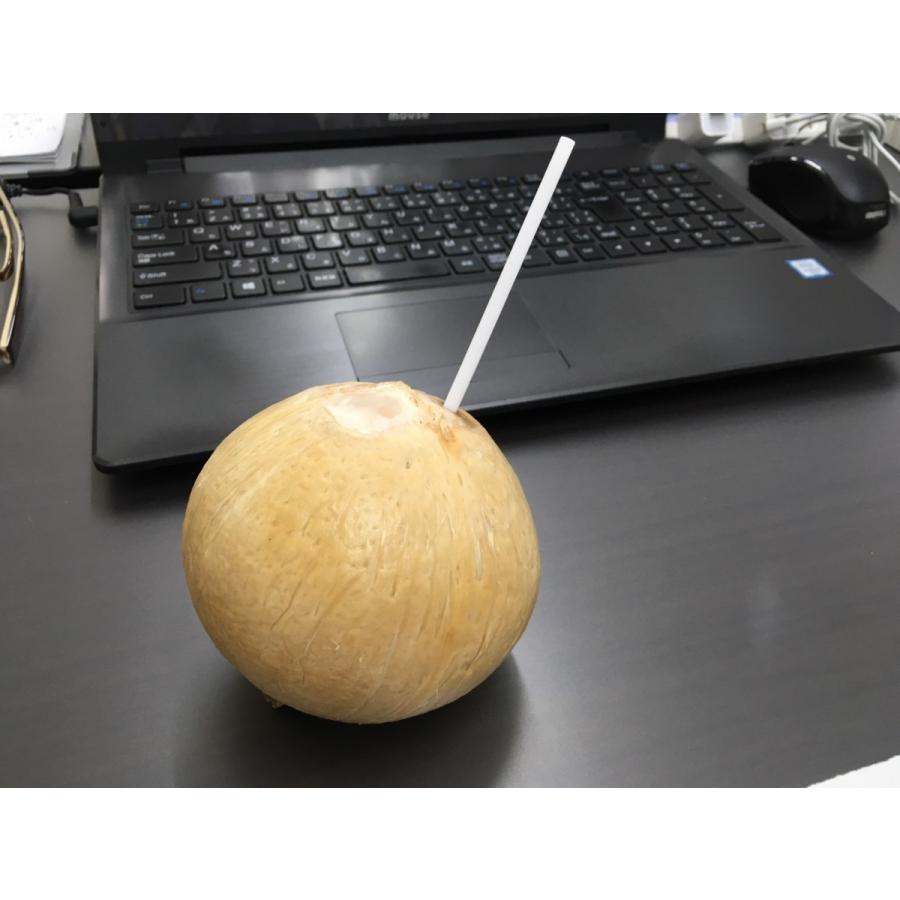 簡単に飲めるヤングココナッツ 約9.0kg 16個入り ストロー付きボール