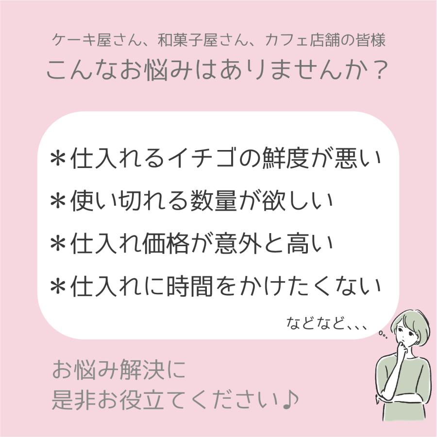 【新品同様 / 希少】 アメリカ産ストロベリー（いちご・苺）約4.0kg　約250g×16パック（15粒パック）×20ケース 【CEG3038638802】(110400円)