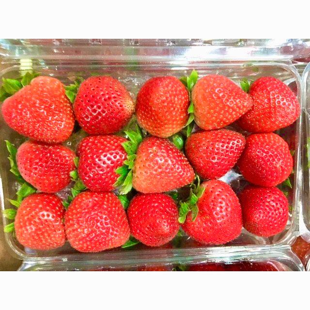 【新品同様 / 希少】 アメリカ産ストロベリー（いちご・苺）約4.0kg　約250g×16パック（15粒パック）×20ケース 【CEG3038638802】(110400円)