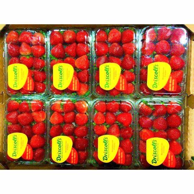 【新品同様 / 希少】 アメリカ産ストロベリー（いちご・苺）約4.0kg　約250g×16パック（15粒パック）×20ケース 【CEG3038638802】(110400円)