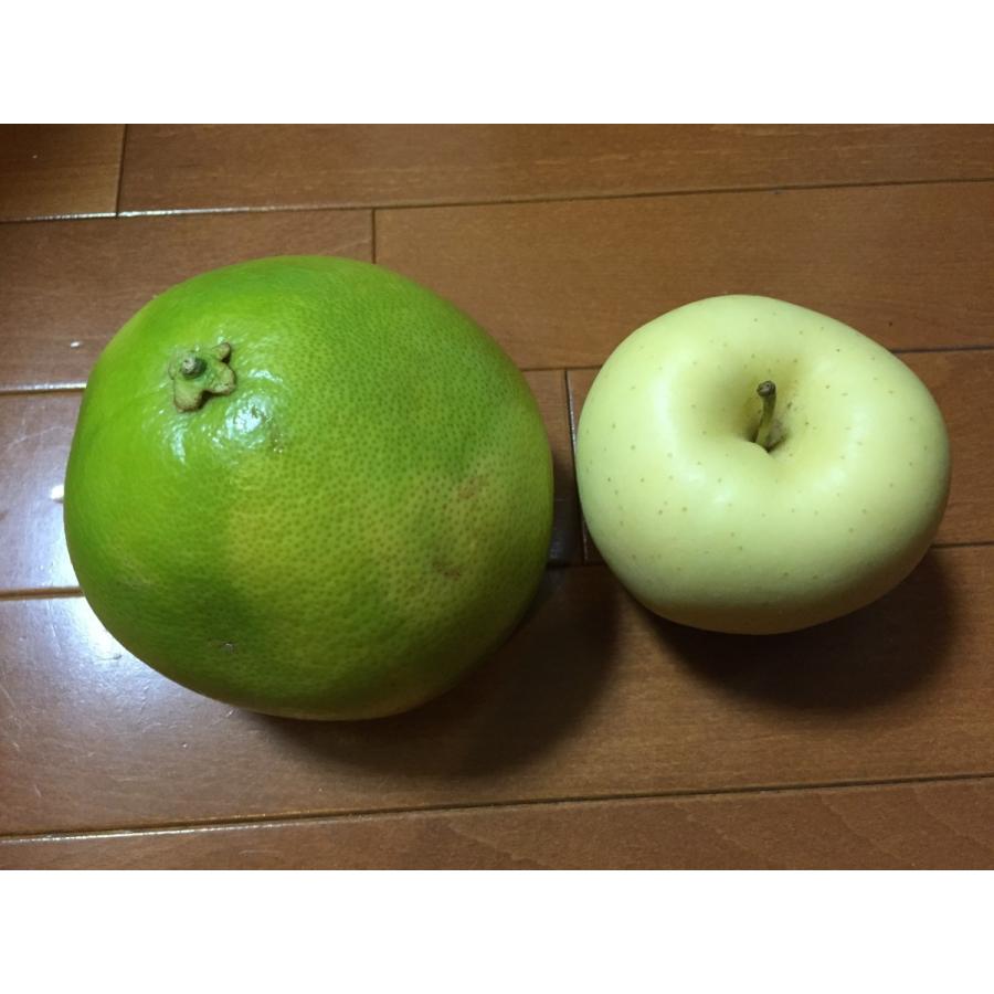 カリフォルニア産・特選大玉メロゴールド約15.0kg 14個／18個入り