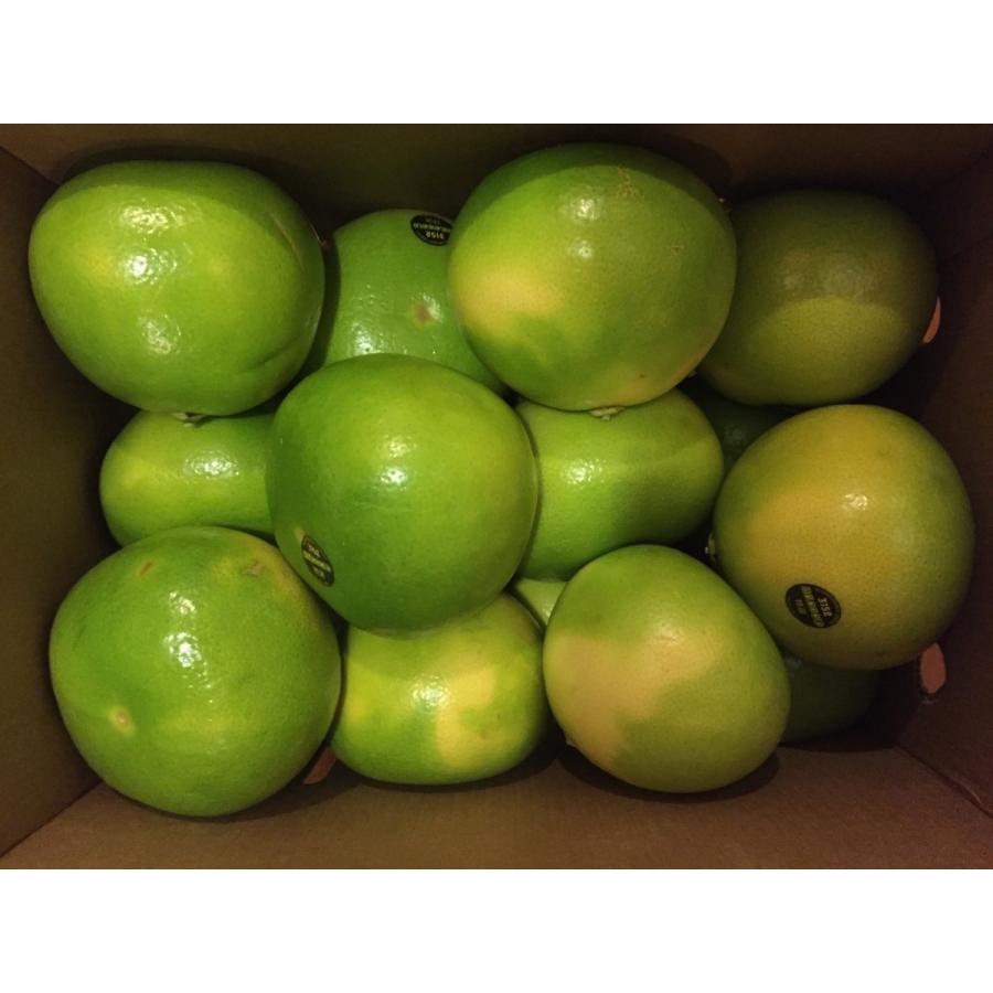 カリフォルニア産・特選大玉メロゴールド約15.0kg 14個／18個入り