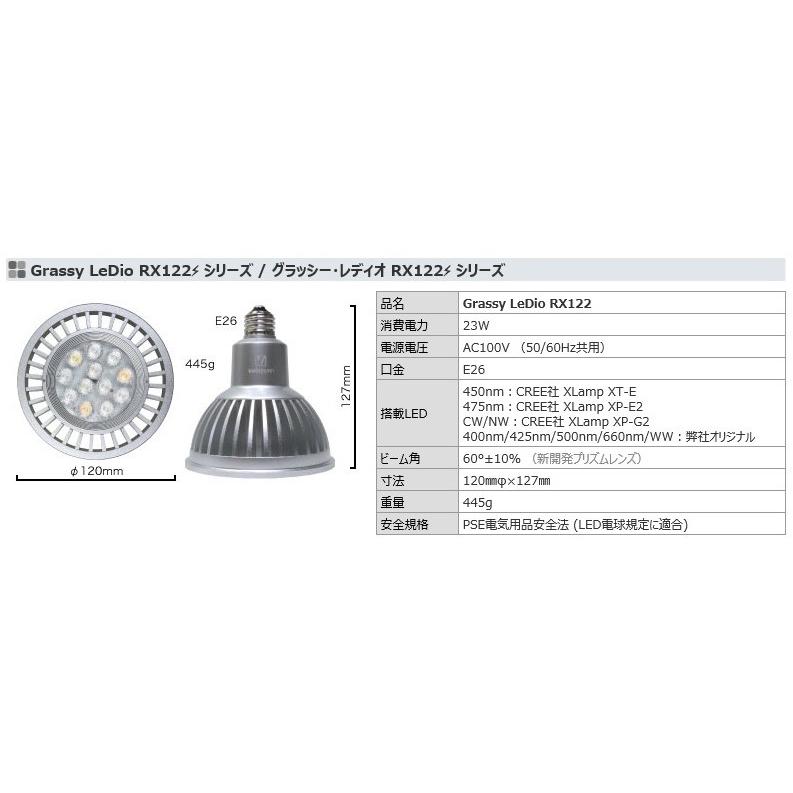 ボルクスジャパン グラッシー レディオ ｒｘ１２２ コーラル Bxjl3591 トロピカルワールド ヤフー店 通販 Yahoo ショッピング