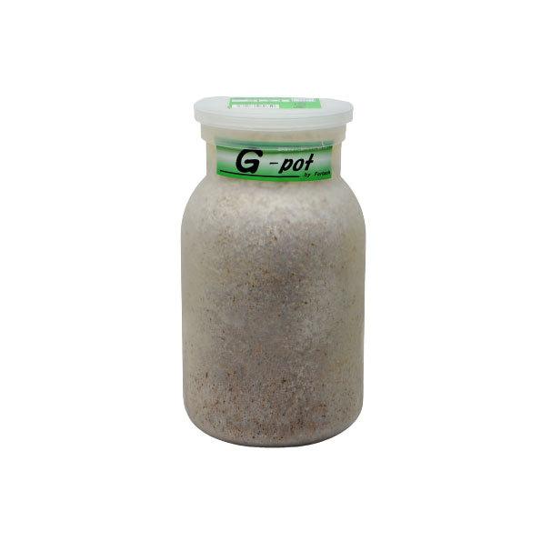 フォーテック フォーテック菌糸ビン G-pot・850cc バラ売り