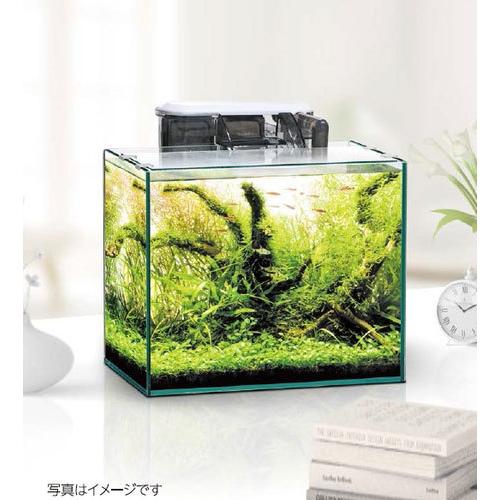 ｇｅｘ スリムフィルターｓ 水容量25l以下水槽用外掛け式フィルター Gesf10 トロピカルワールド ヤフー店 通販 Yahoo ショッピング