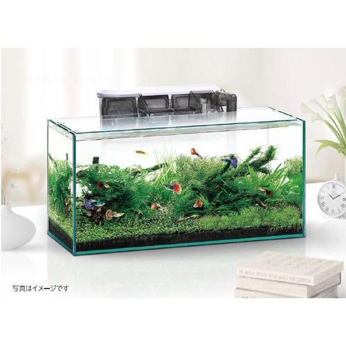 ｇｅｘ スリムフィルターm 熱帯魚 アクアリウム フィルター エアレーション器具 フィルター Gesf11 トロピカルワールド ヤフー店 通販 Yahoo ショッピング
