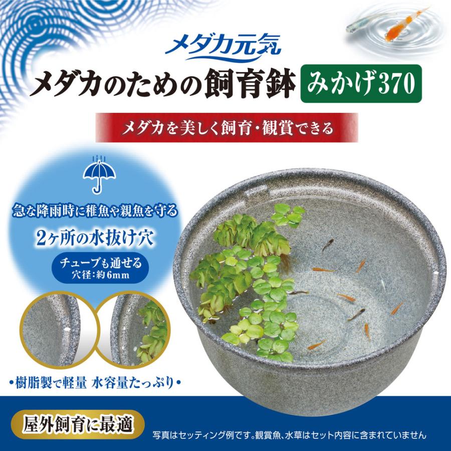 GEX（ジェックス） メダカ元気 メダカのための飼育鉢 みかげ370