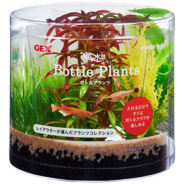 ｇｅｘ 癒し水景 ボトルプランツ ロタラ 人工水草アクセサリー4種セット Majesticxpress Com
