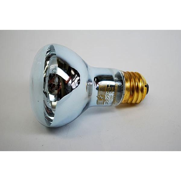 GEX（ジェックス） エキゾテラ スワンプグロー 75W 防滴型スポット
