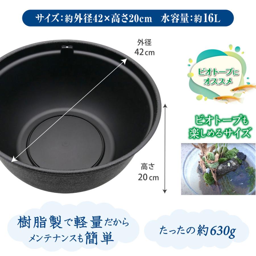 直径60cm メダカ鉢 飼育スタートセット 直径60cm メダカ鉢 飼育